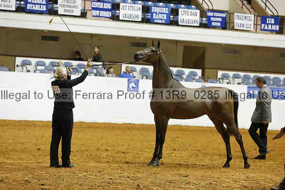 Proof Number 13r9_0285
