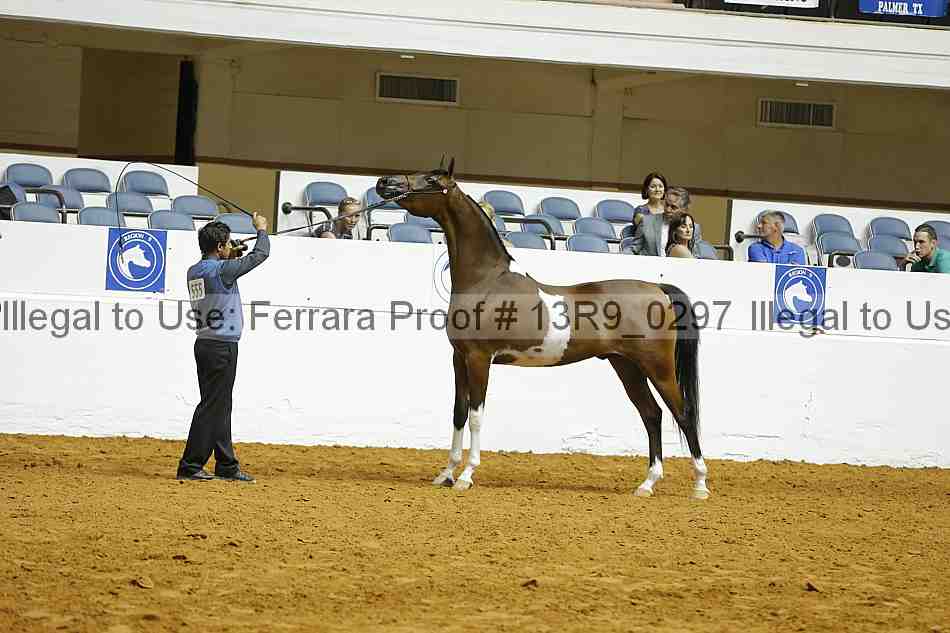 Proof Number 13r9_0297