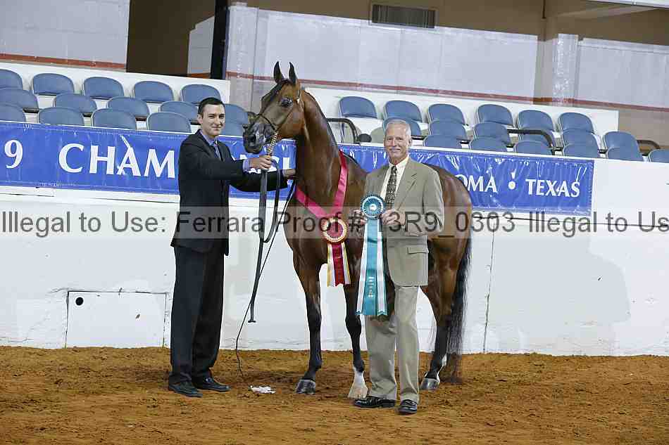 Proof Number 13r9_0303