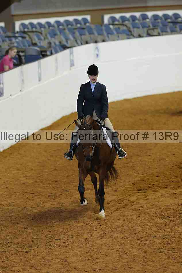 Proof Number 13r9_0323