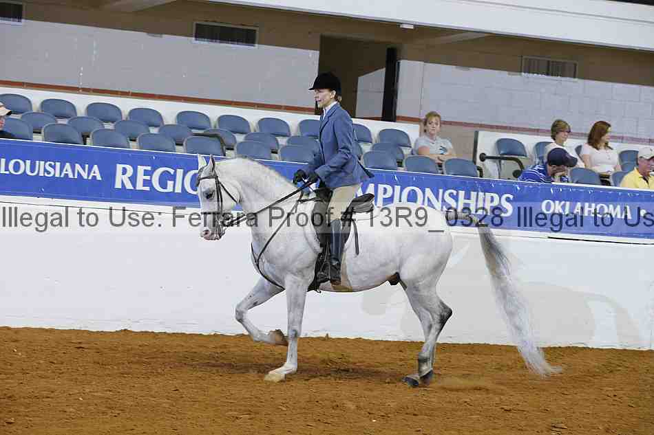 Proof Number 13r9_0328