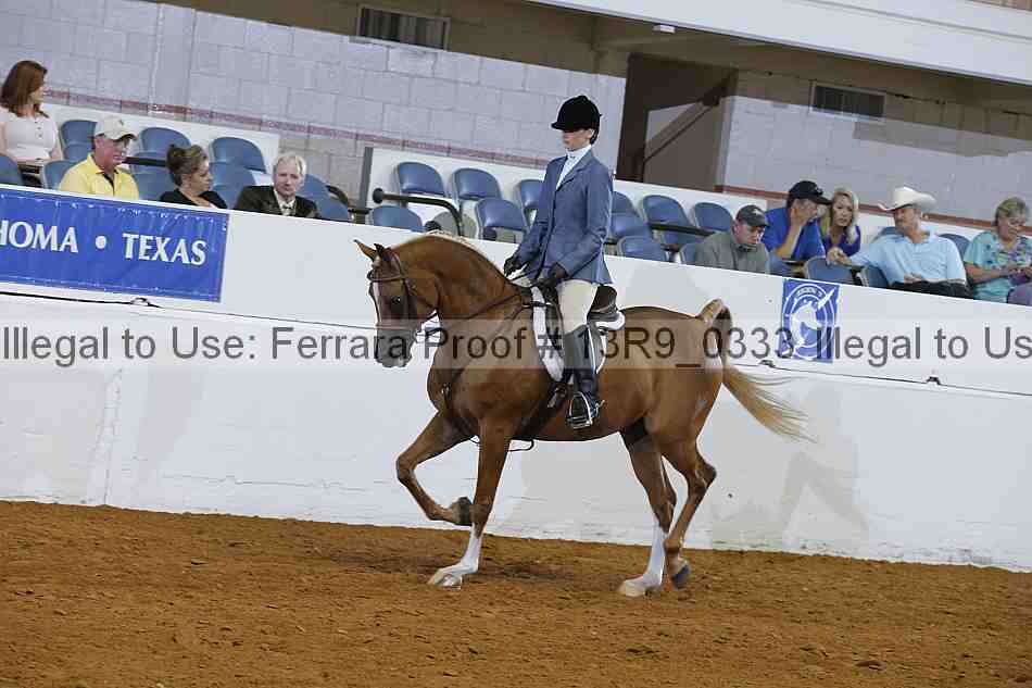 Proof Number 13r9_0333