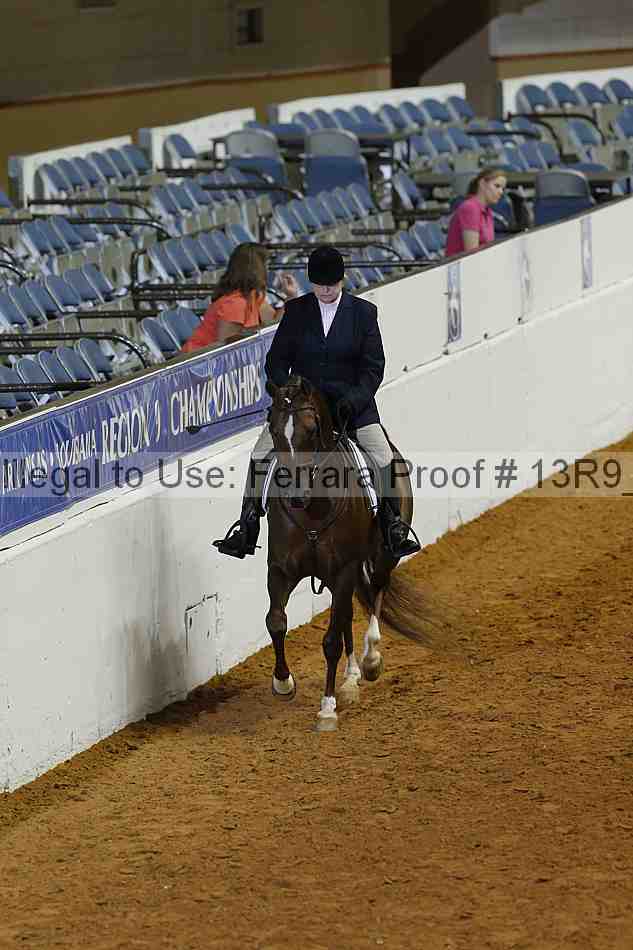 Proof Number 13r9_0335
