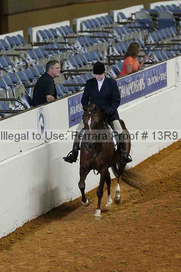 Proof Number 13r9_0336