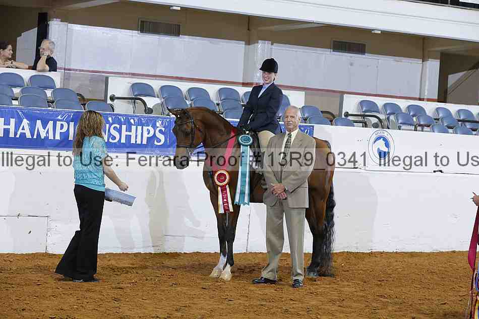 Proof Number 13r9_0341