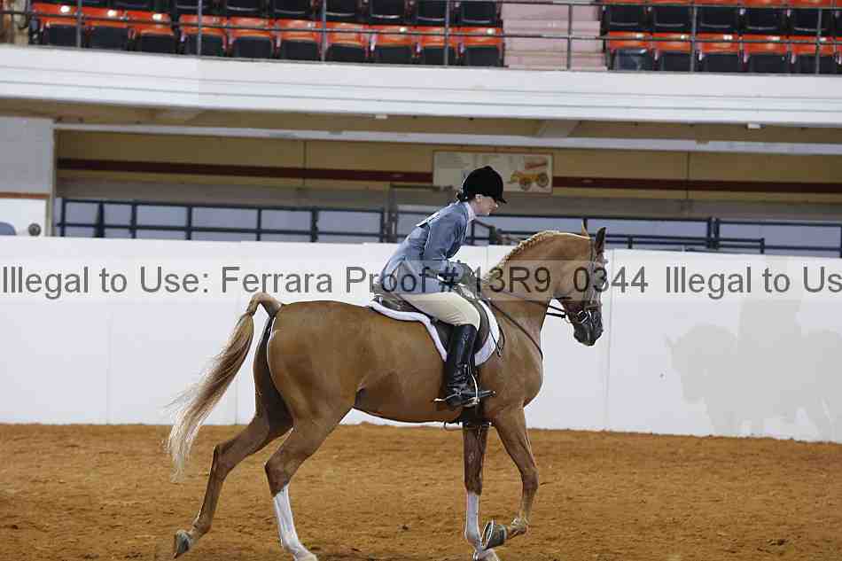 Proof Number 13r9_0344
