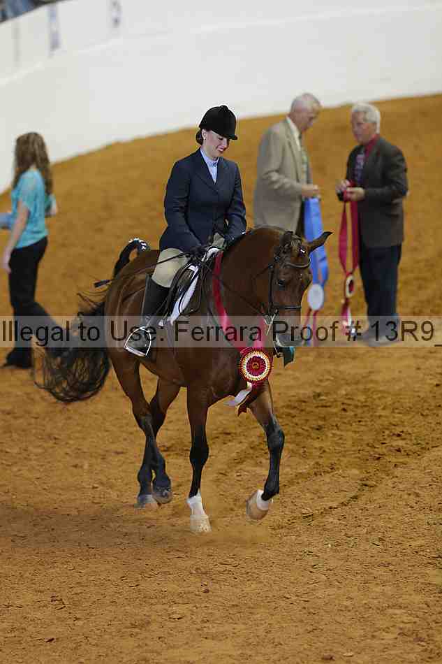 Proof Number 13r9_0345