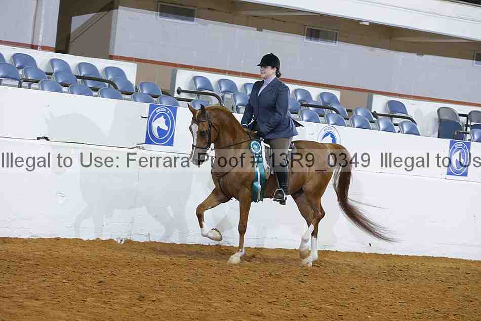 Proof Number 13r9_0349