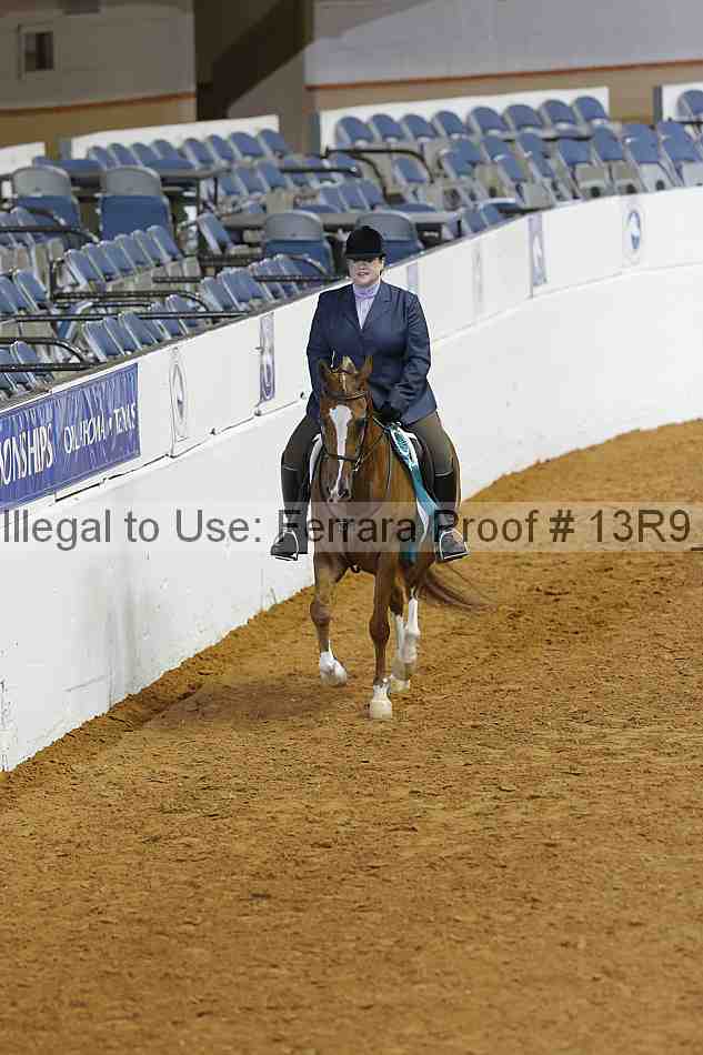 Proof Number 13r9_0350