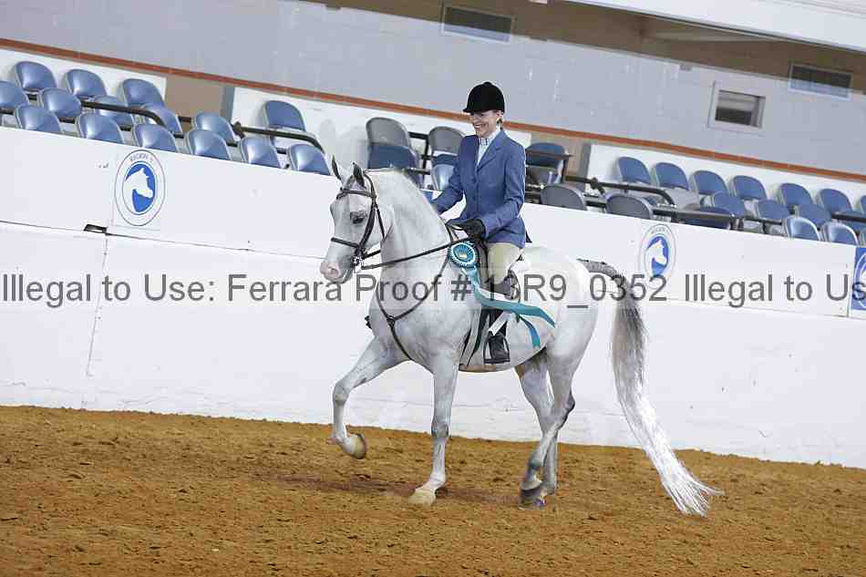 Proof Number 13r9_0352