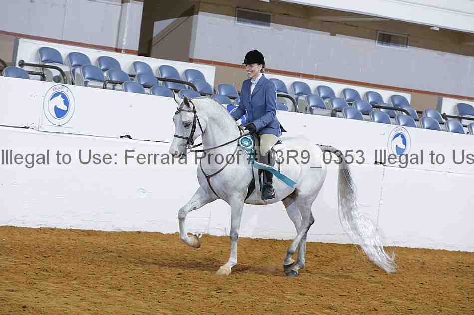 Proof Number 13r9_0353