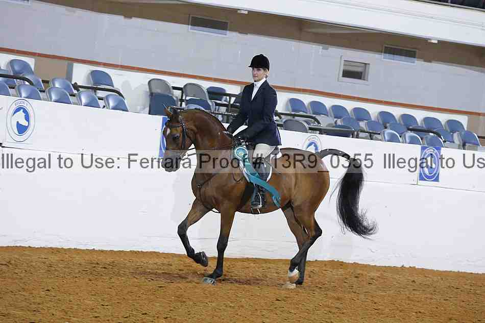 Proof Number 13r9_0355