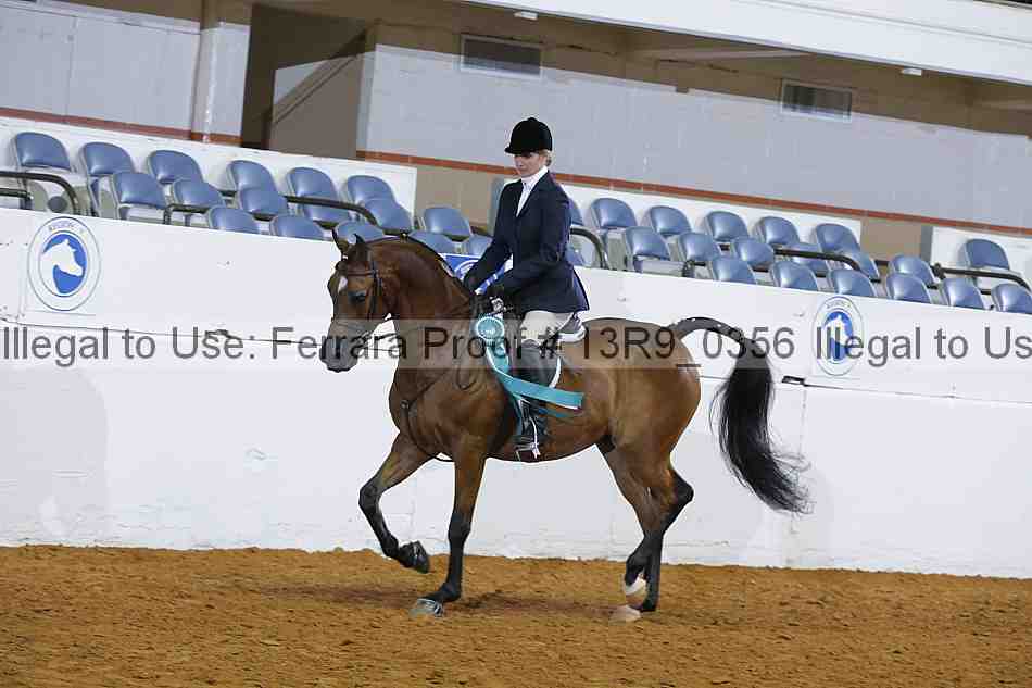 Proof Number 13r9_0356