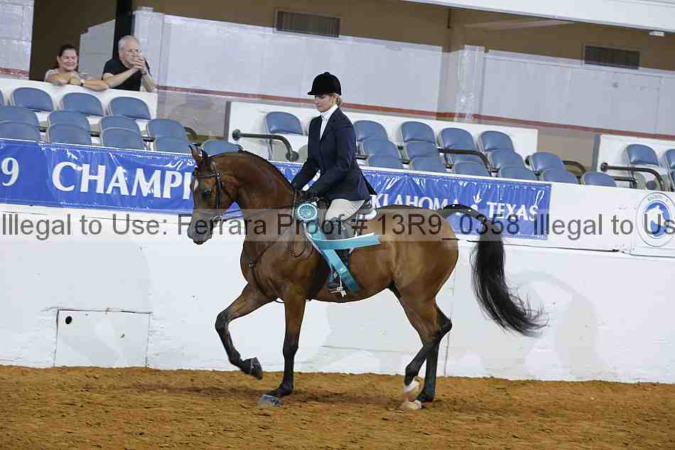 Proof Number 13r9_0358