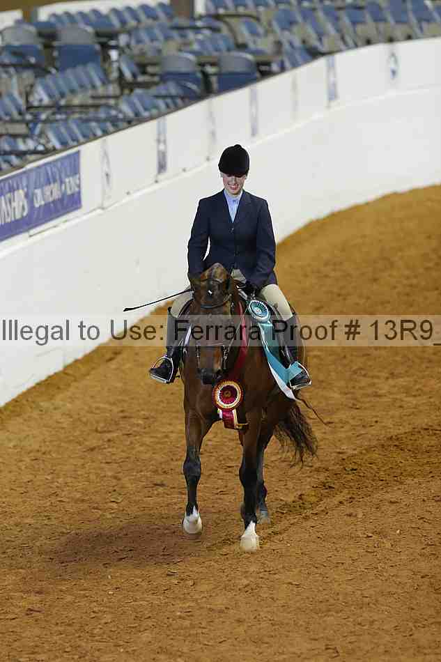 Proof Number 13r9_0364