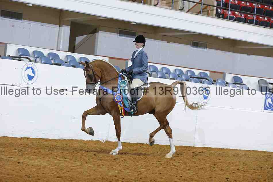 Proof Number 13r9_0366