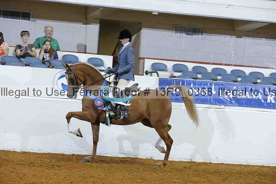 Proof Number 13r9_0368