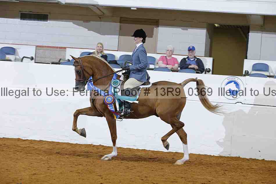 Proof Number 13r9_0369