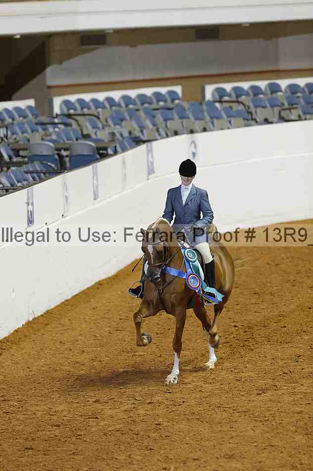 Proof Number 13r9_0370