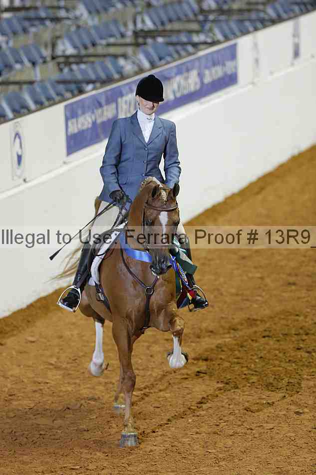Proof Number 13r9_0372