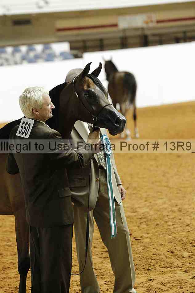 Proof Number 13r9_0374