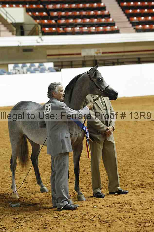 Proof Number 13r9_0384