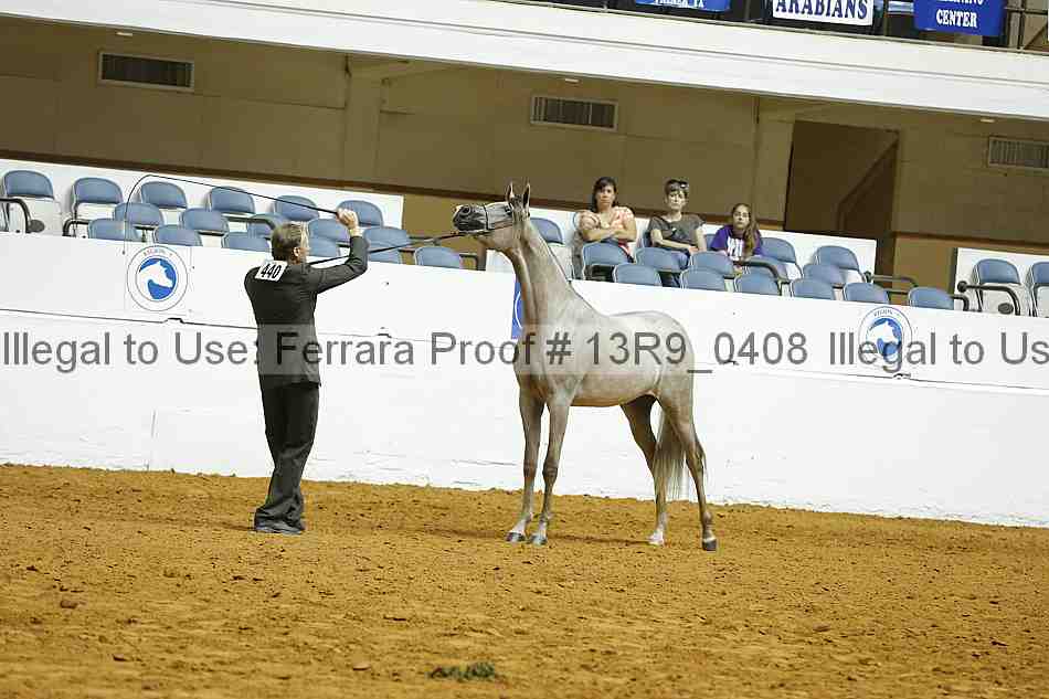 Proof Number 13r9_0408