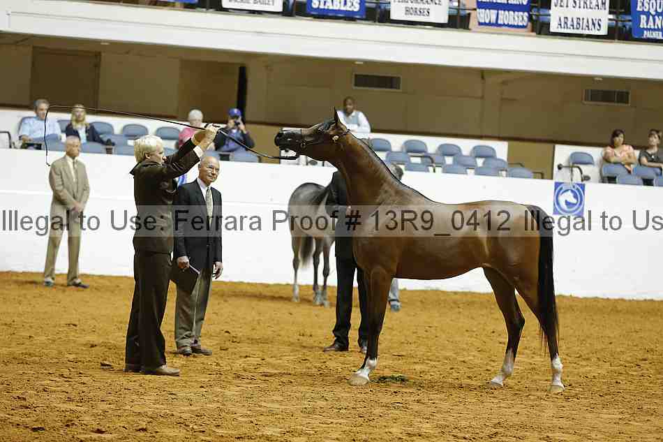 Proof Number 13r9_0412