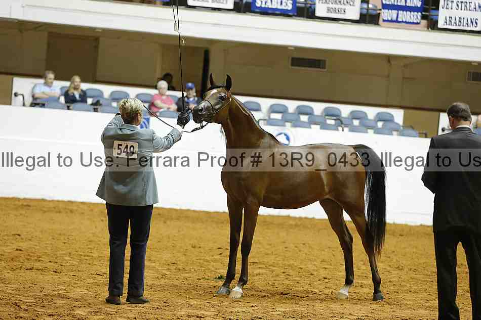 Proof Number 13r9_0433