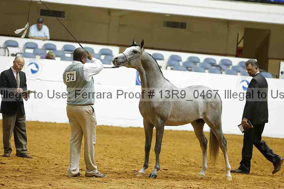 Proof Number 13r9_0467