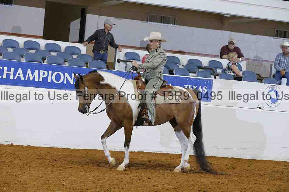 Proof Number 13r9_0495