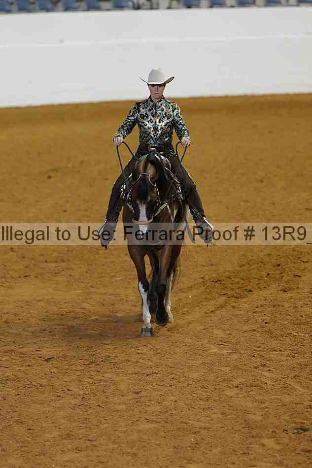 Proof Number 13r9_0500