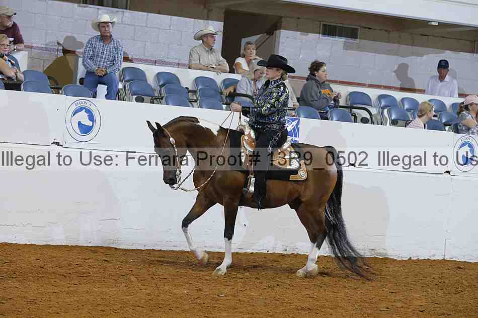 Proof Number 13r9_0502