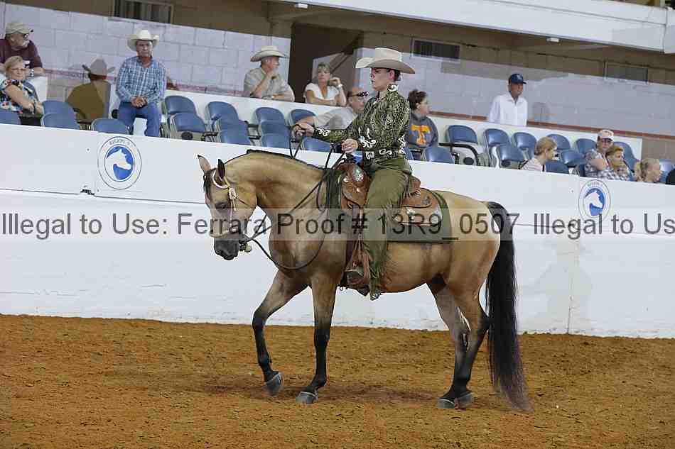 Proof Number 13r9_0507