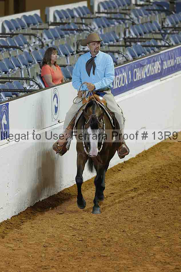 Proof Number 13r9_0525