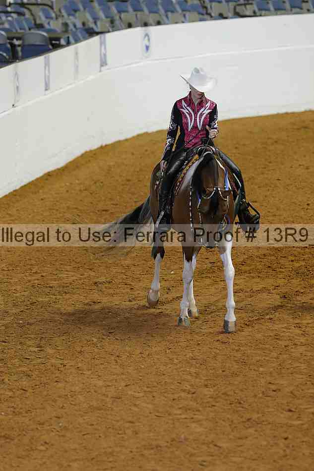 Proof Number 13r9_0529