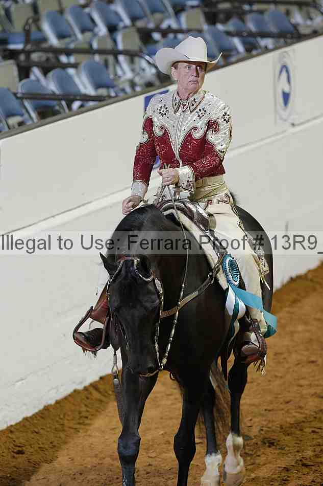 Proof Number 13r9_0532