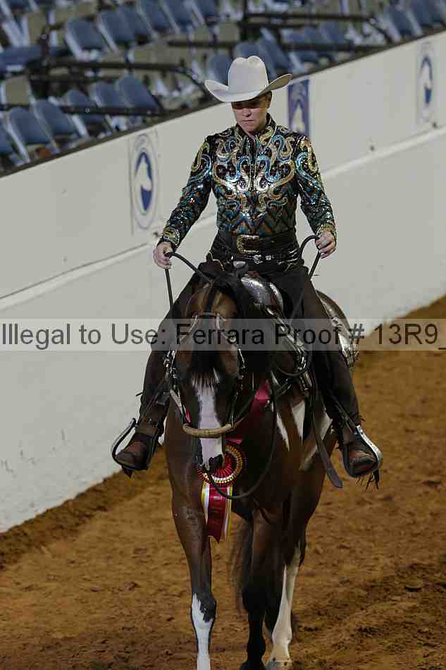 Proof Number 13r9_0543