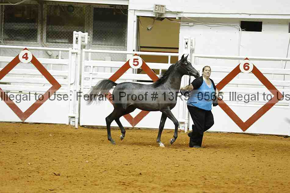 Proof Number 13r9_0565