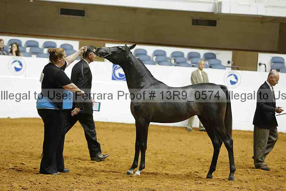 Proof Number 13r9_0574