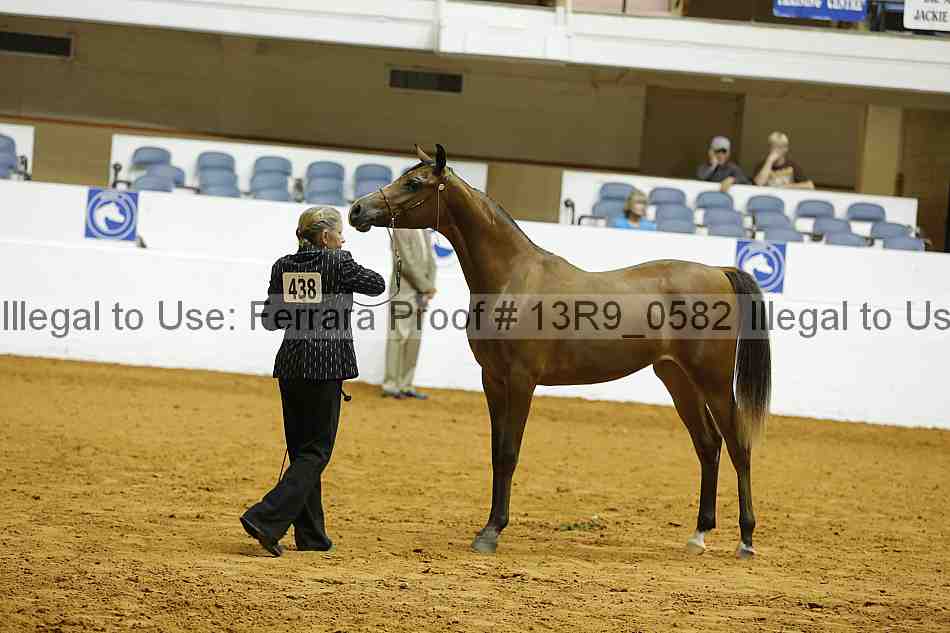 Proof Number 13r9_0582