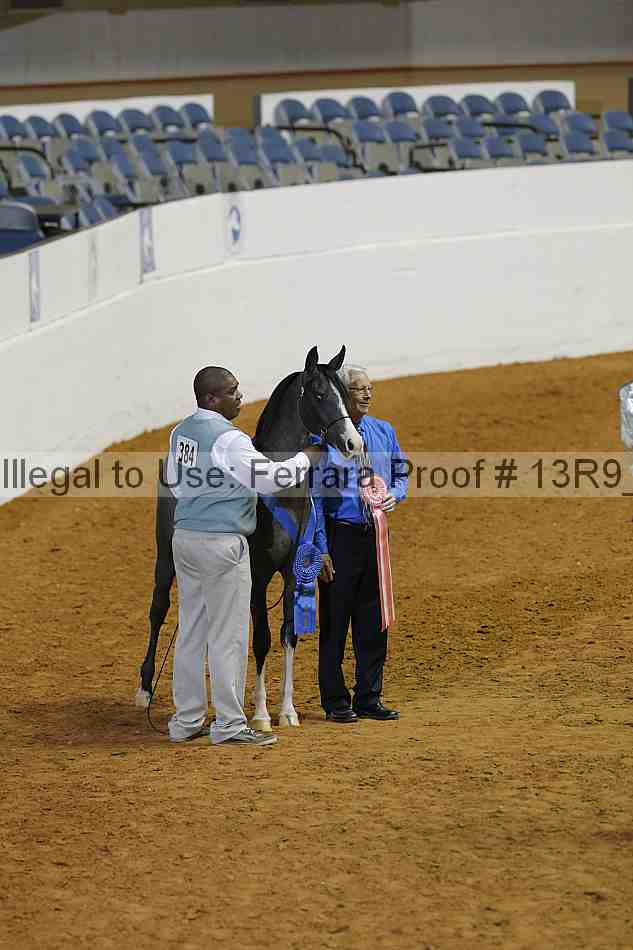 Proof Number 13r9_0594