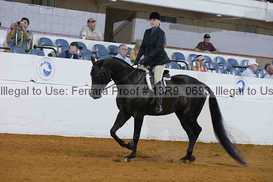 Proof Number 13r9_0693