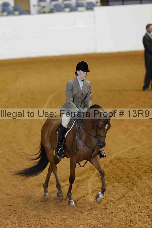 Proof Number 13r9_0695