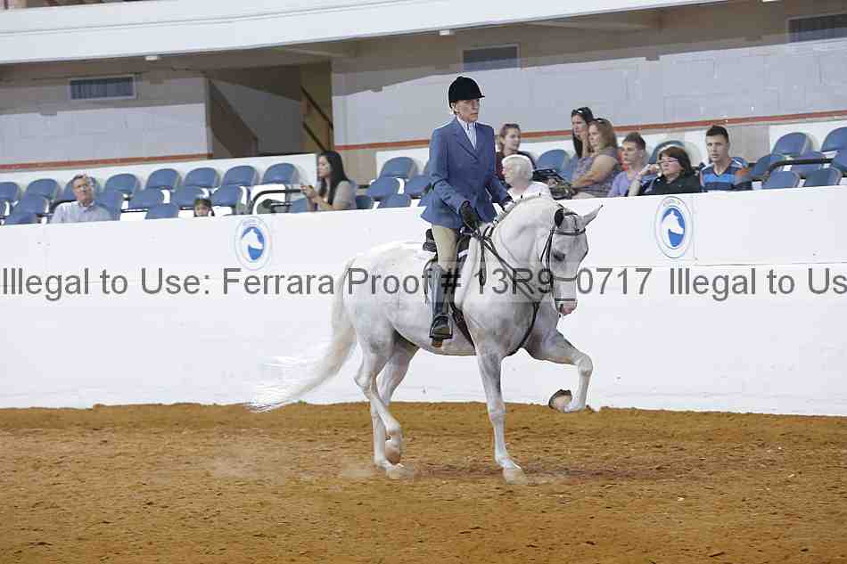 Proof Number 13r9_0717