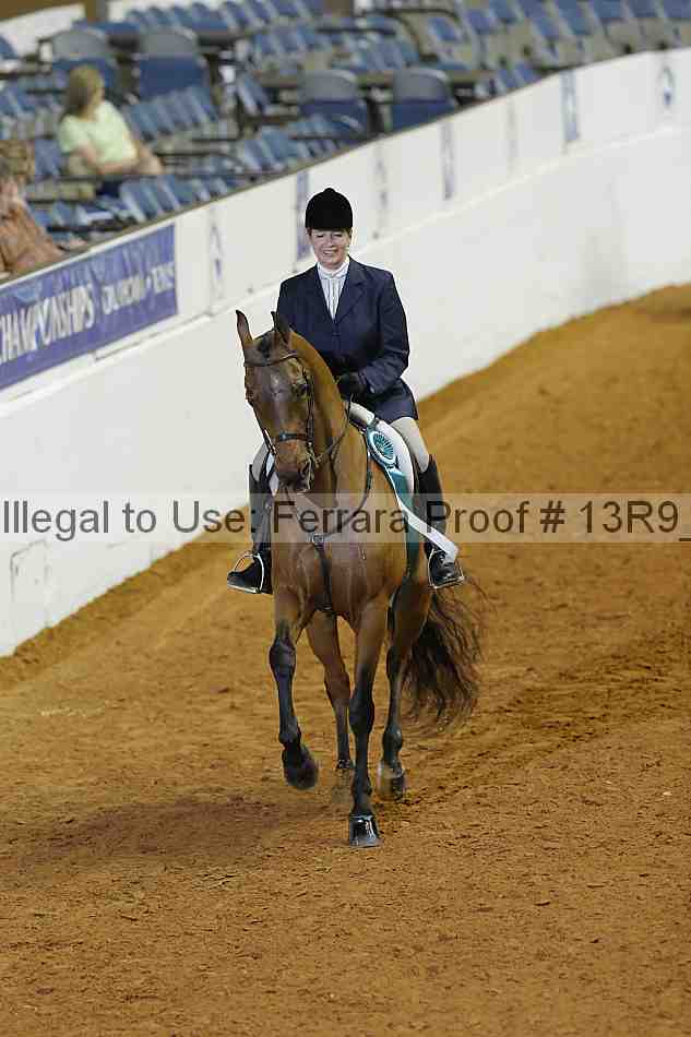 Proof Number 13r9_0738