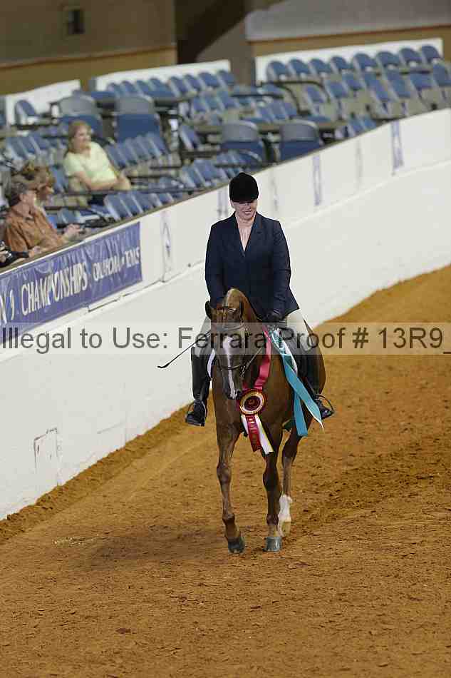 Proof Number 13r9_0745