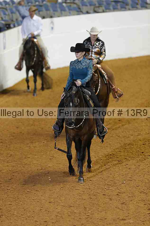 Proof Number 13r9_0794