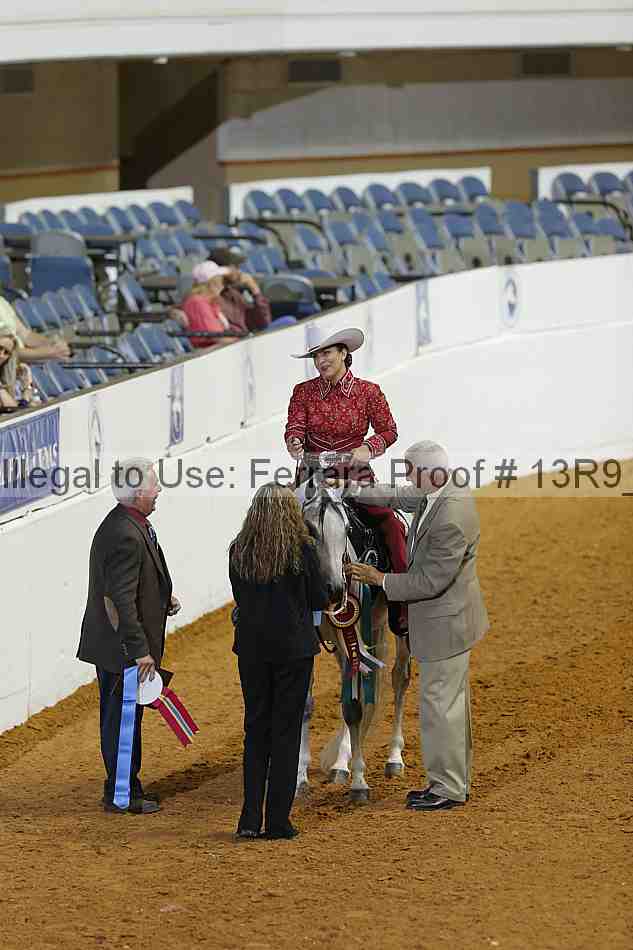Proof Number 13r9_0799