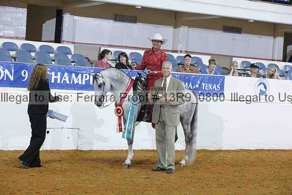 Proof Number 13r9_0800